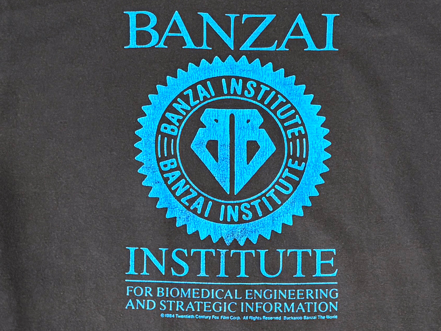Buckaroo Banzai Institute T-Shirt