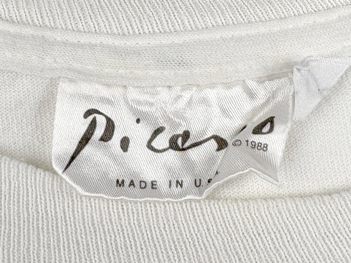 Pablo Picasso T-Shirt