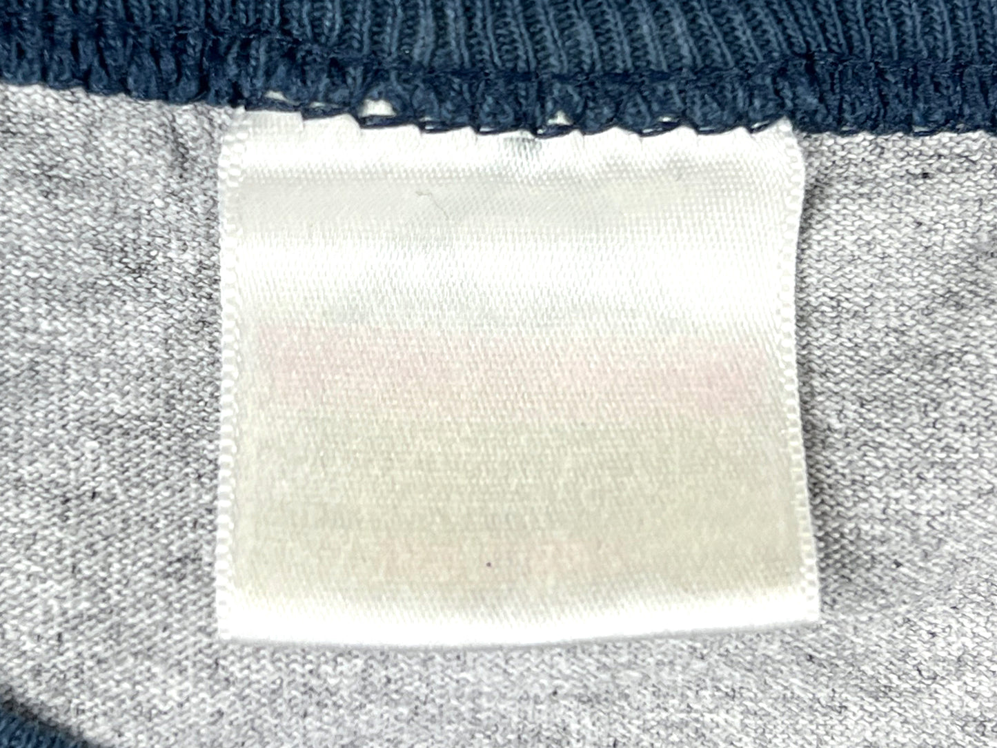 Incubus NASA Logo Ringer T-Shirt