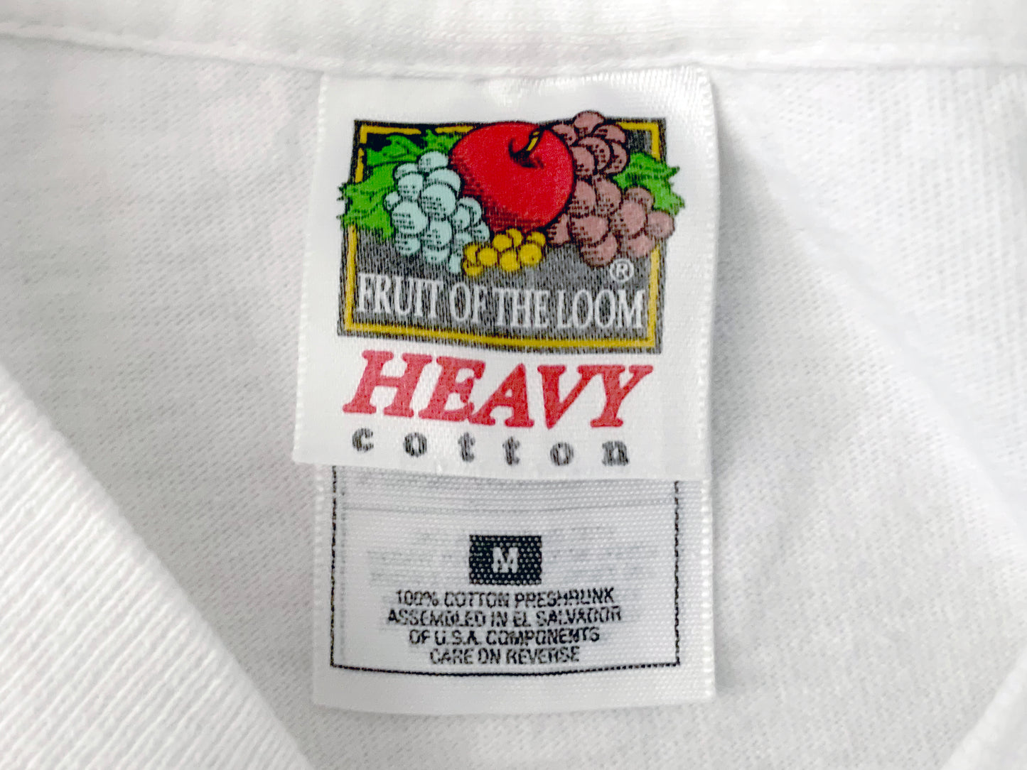 Frank Lloyd Wright in Oak Park T-Shirt