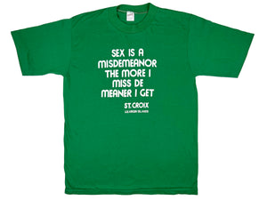 Sex is a Misdemeanor T-Shirt
