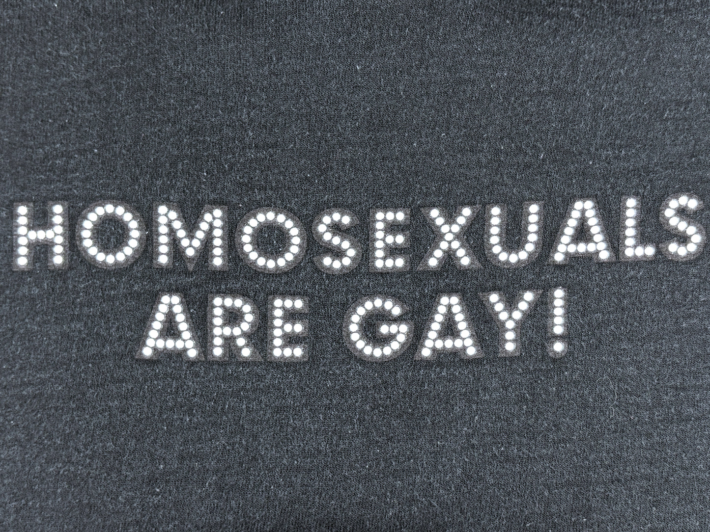 Homosexuals Are Gay Hoodie