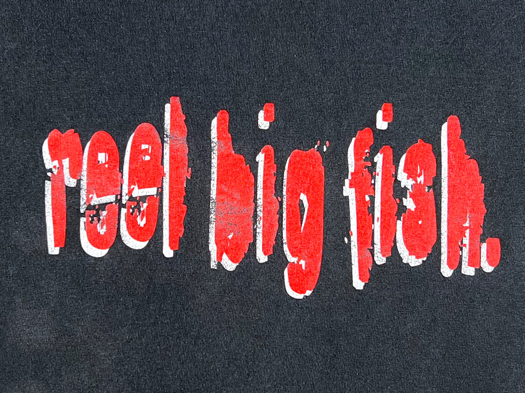 Reel Big Fish 'Skatanic' T-Shirt