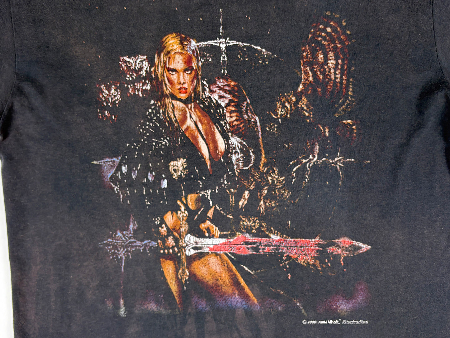 Fantasy Babe w/ Sword & Owl Now What T-Shirt