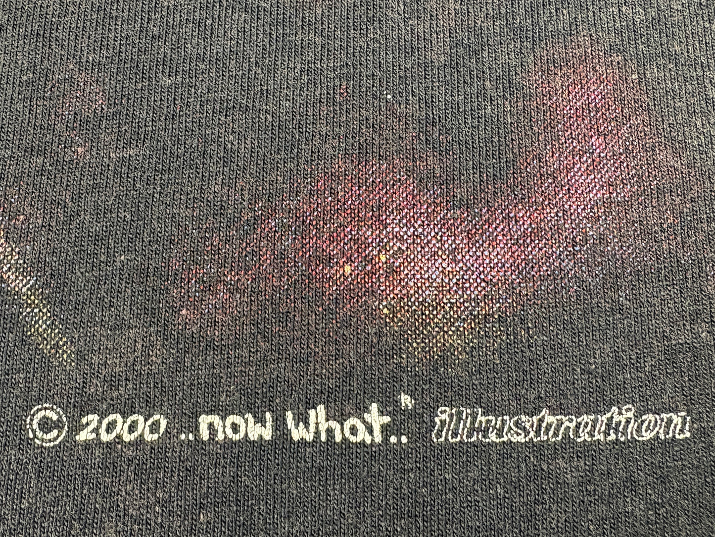 Fantasy Babe w/ Sword & Owl Now What T-Shirt