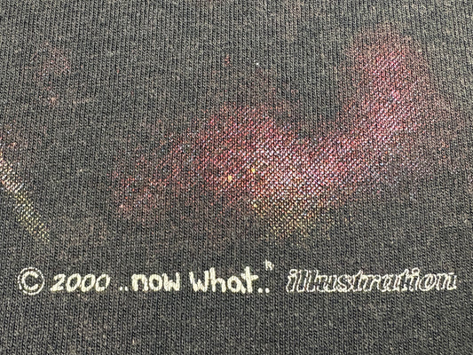 Fantasy Babe w/ Sword & Owl Now What T-Shirt