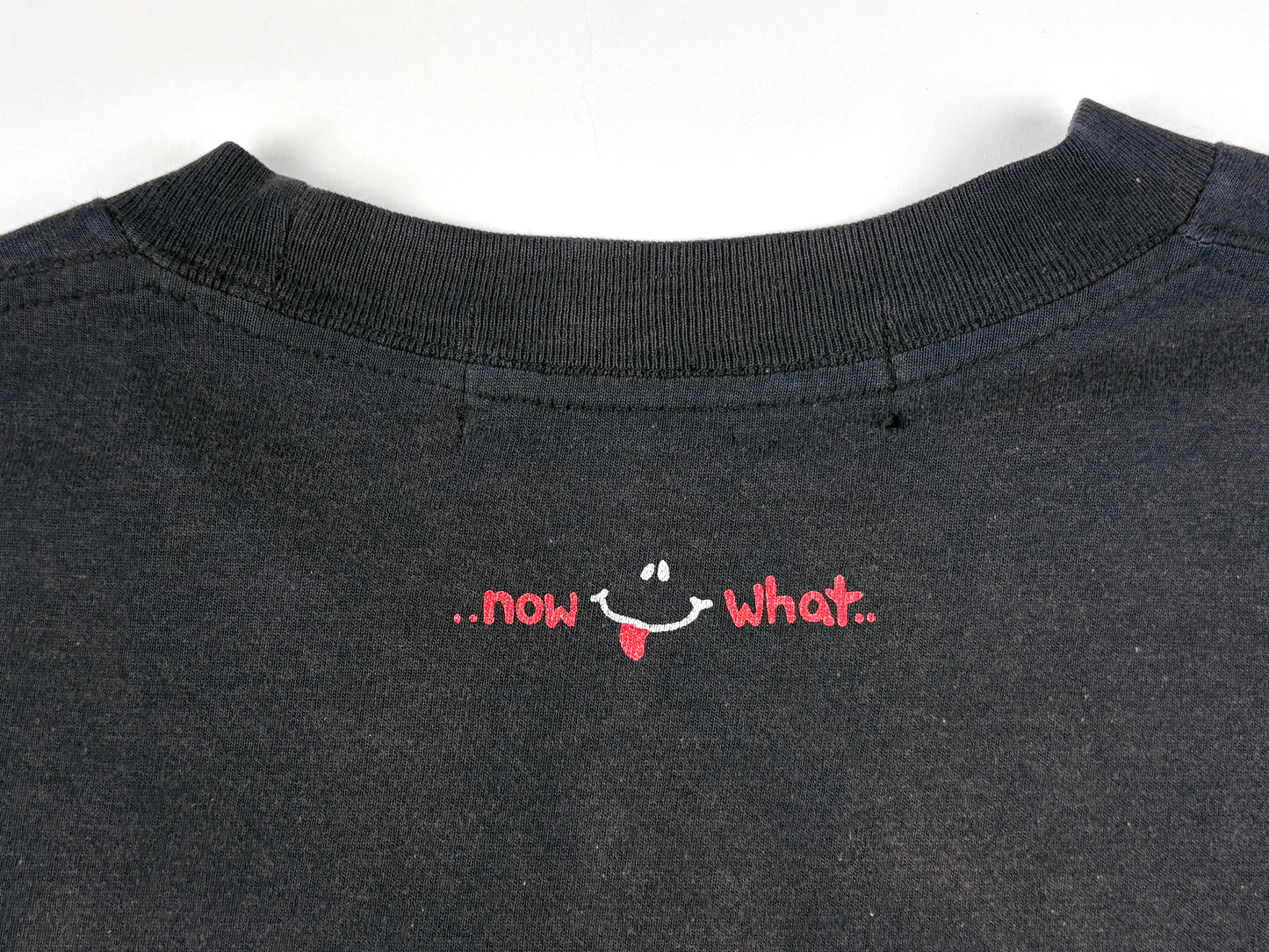 Fantasy Babe w/ Sword & Owl Now What T-Shirt