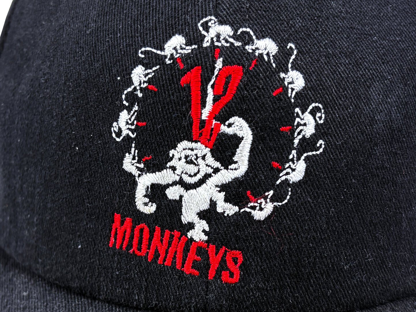 12 Monkeys Embroidered Snapback Hat