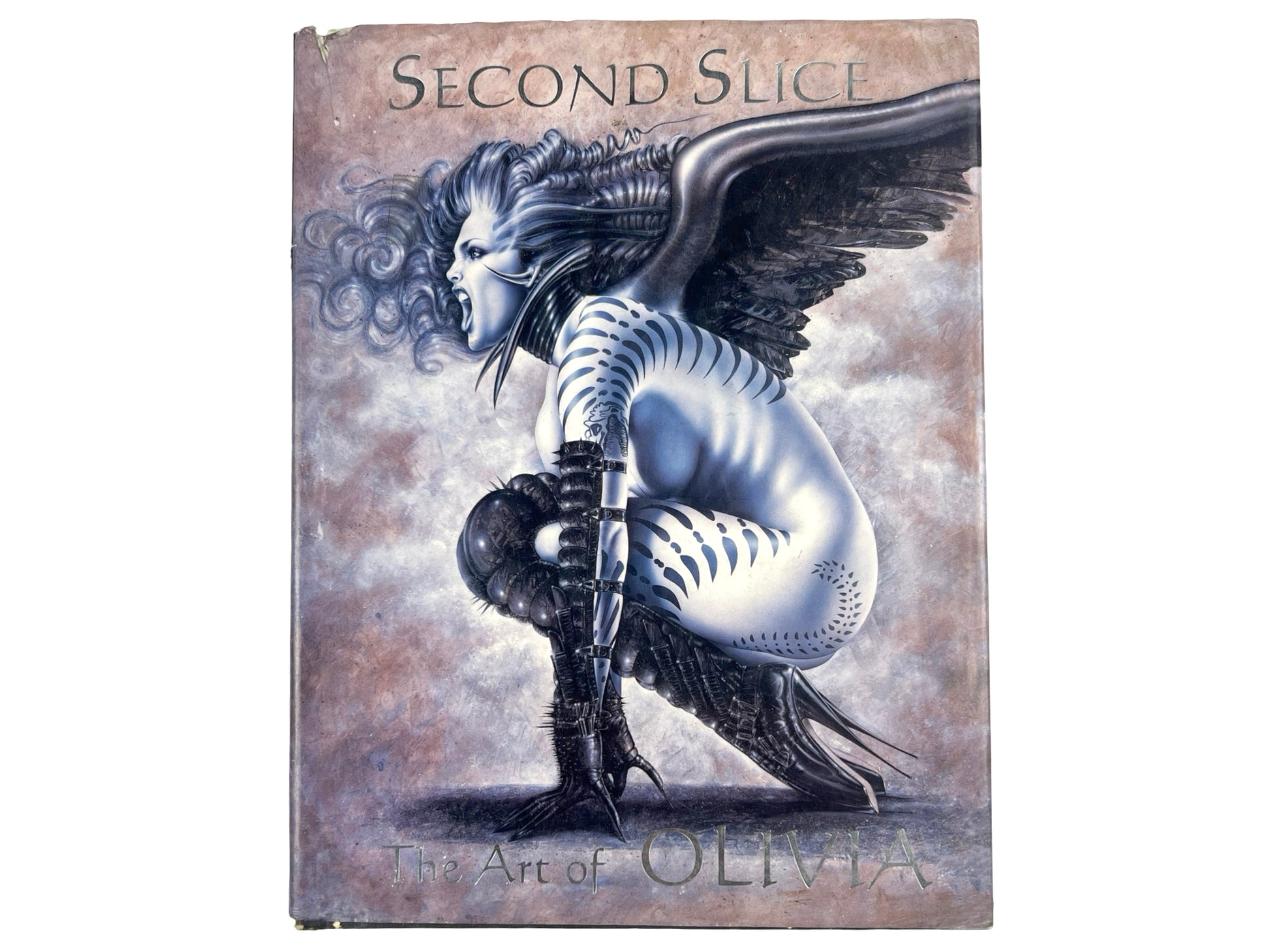 Vintage Olivia De Berardinis 'Second Slice' Book