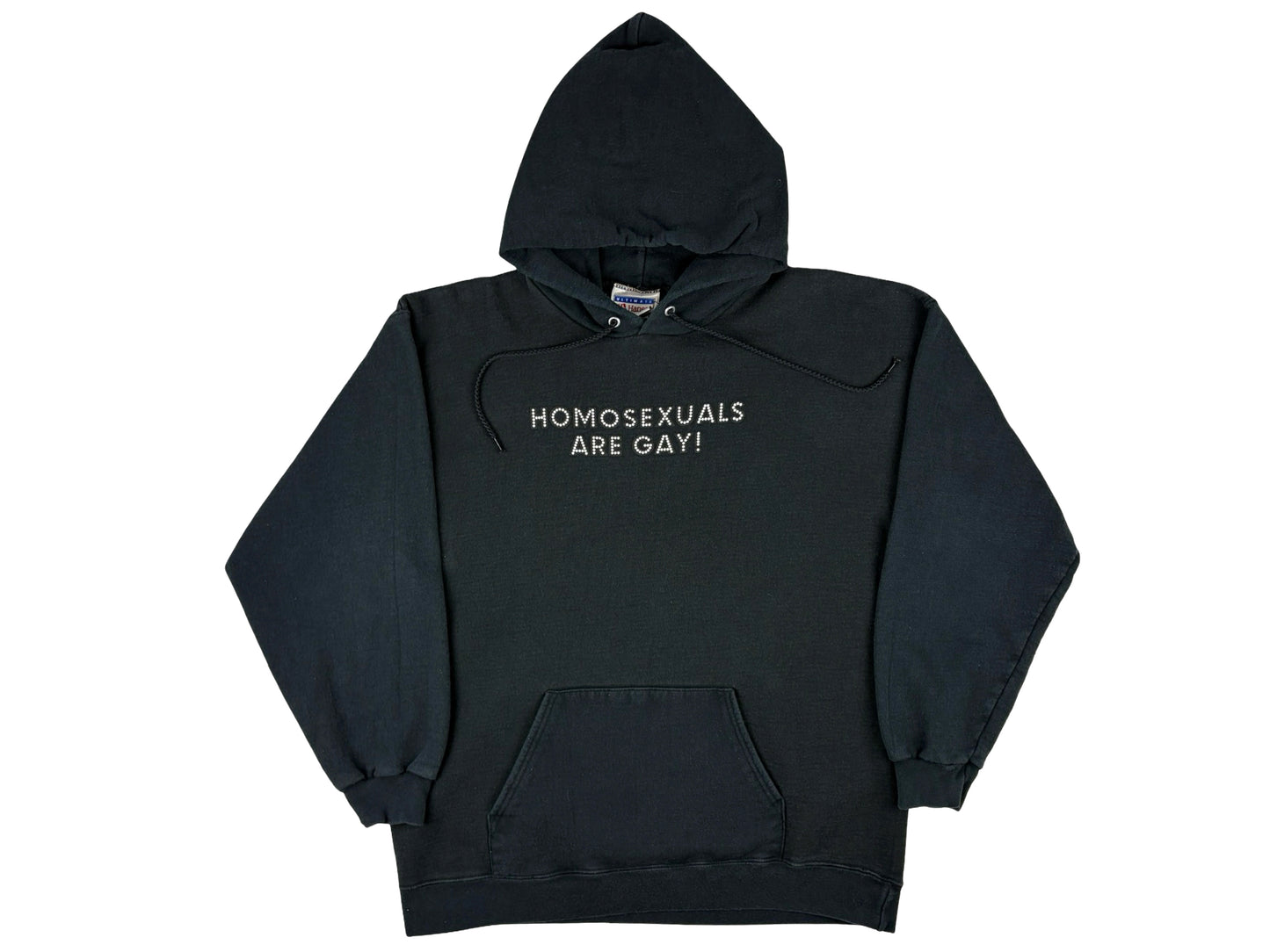 Homosexuals Are Gay Hoodie