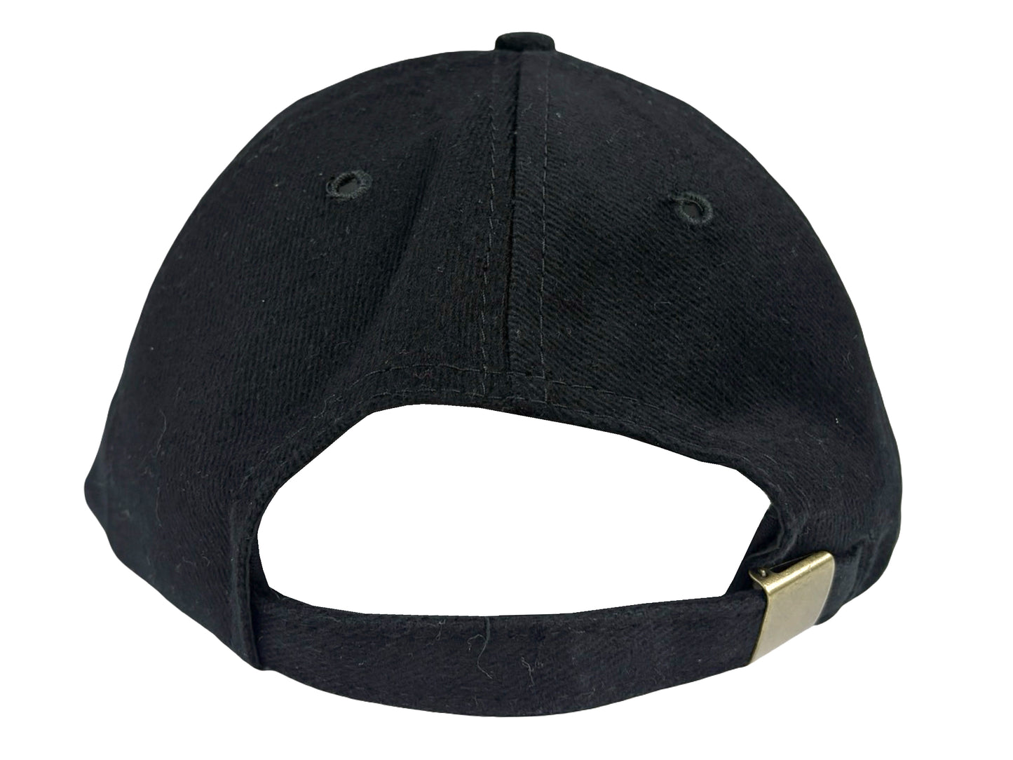 Princess Diana International Charities Embroidered Snapback Hat