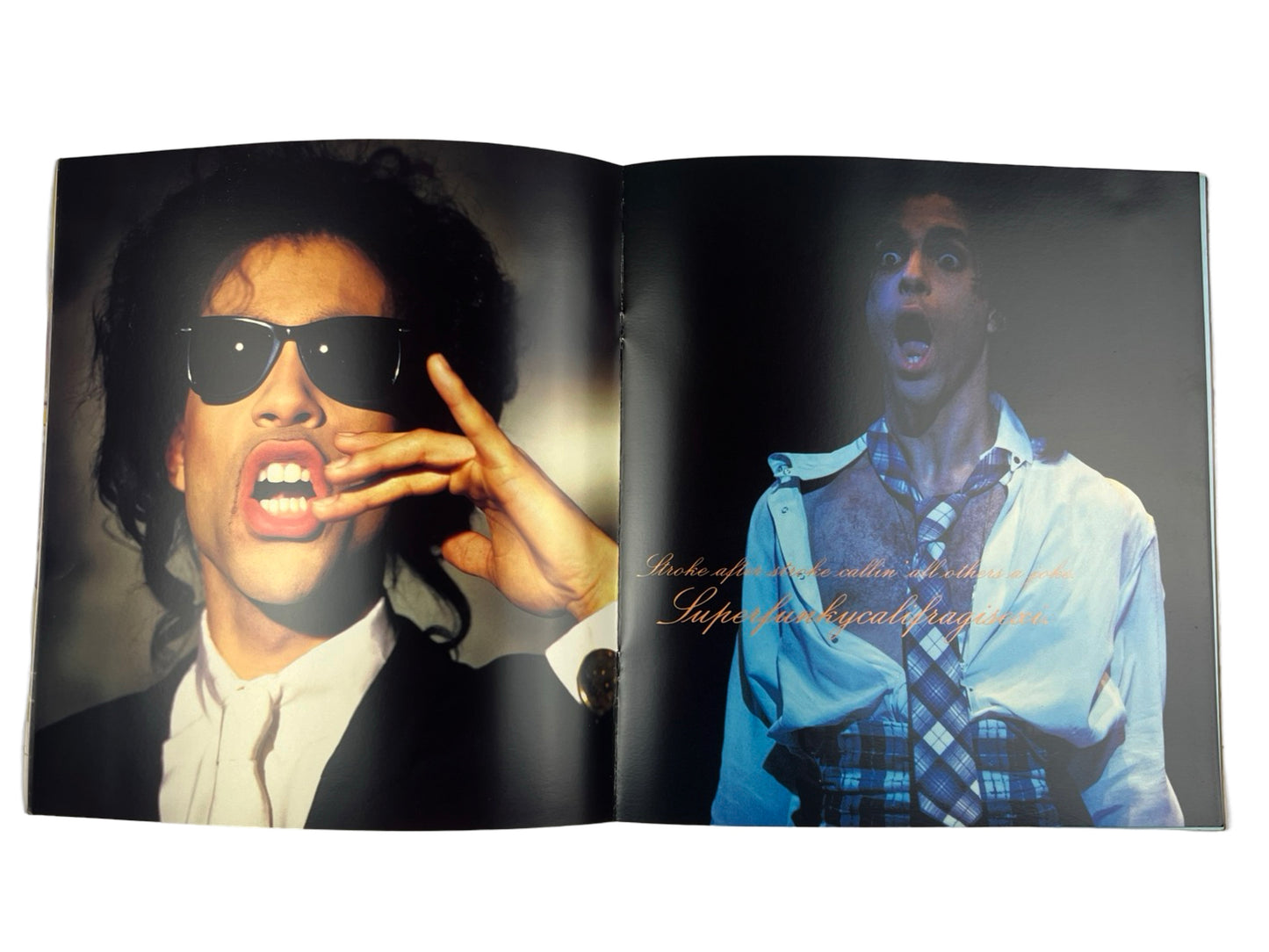 Prince 'Lovesexy' Tour Book