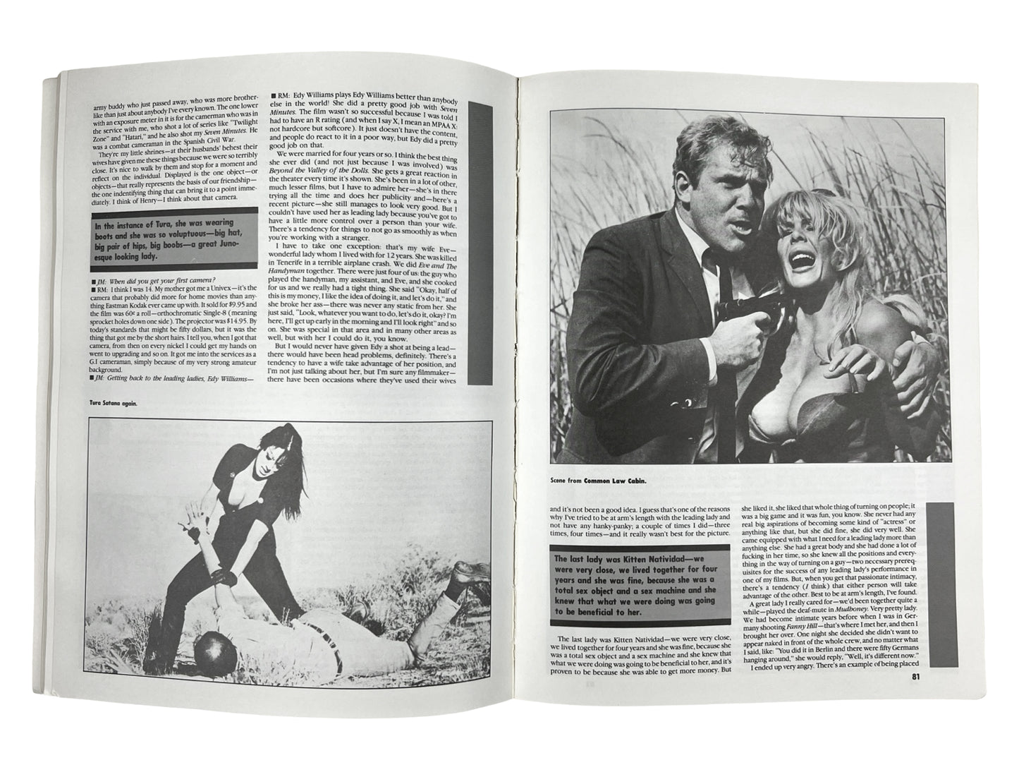 RE Search 'Incredible Strange Films' Book