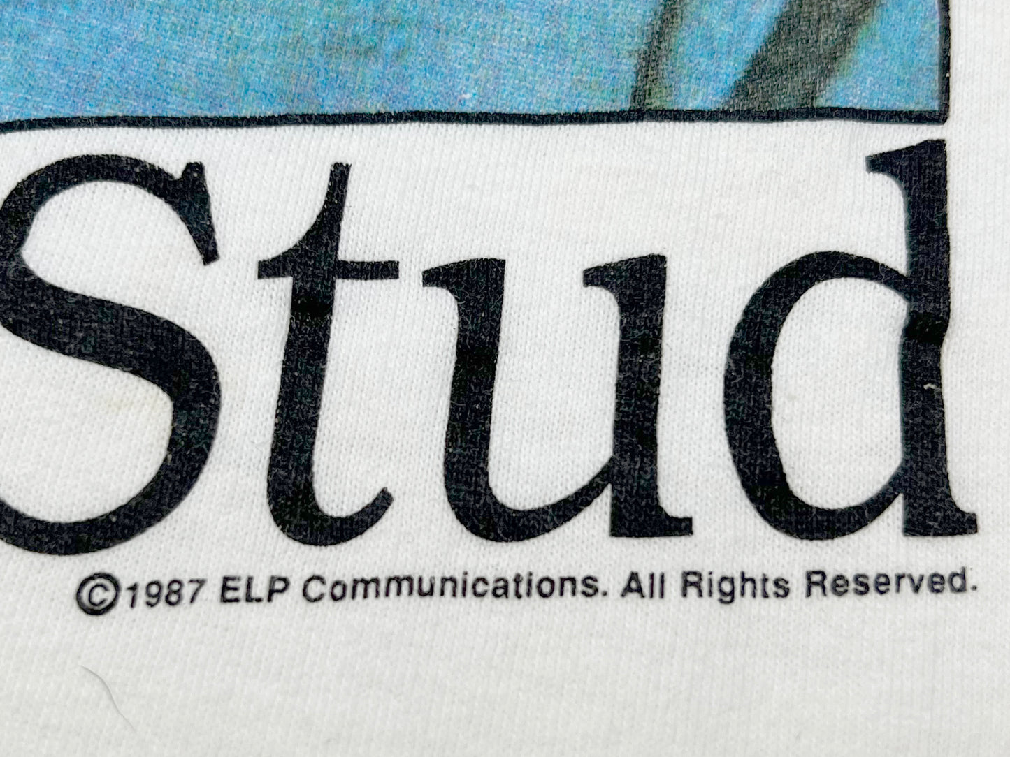 Married with Children Bud the Stud Bundy T-Shirt