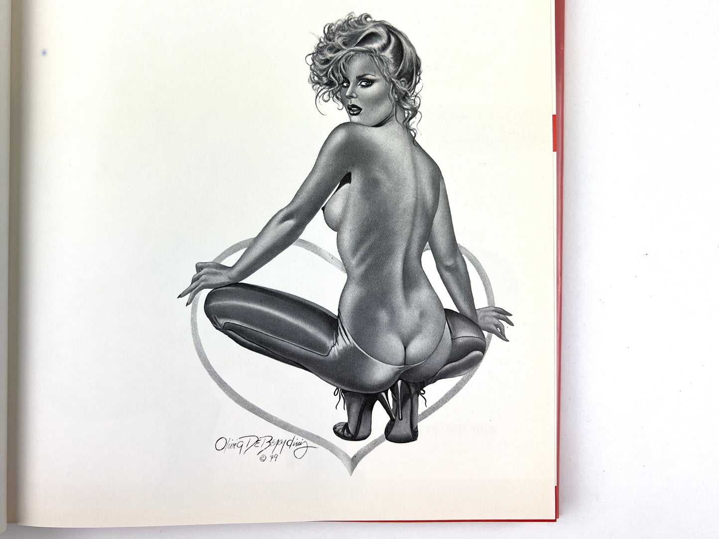 The Illustrated History of Girlie Magazines Book