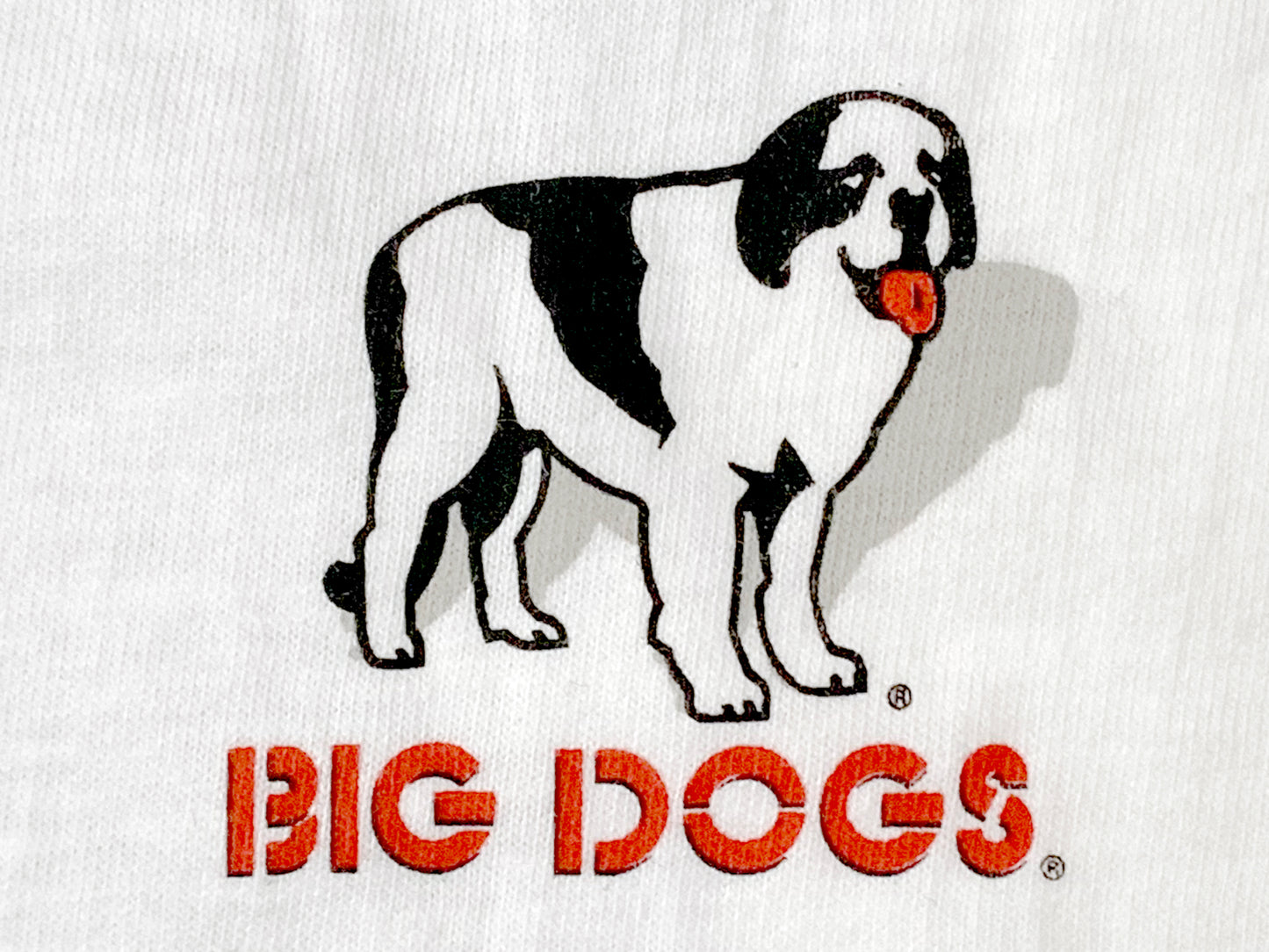 The X-Files Big Dogs Rex Files Parody T-Shirt