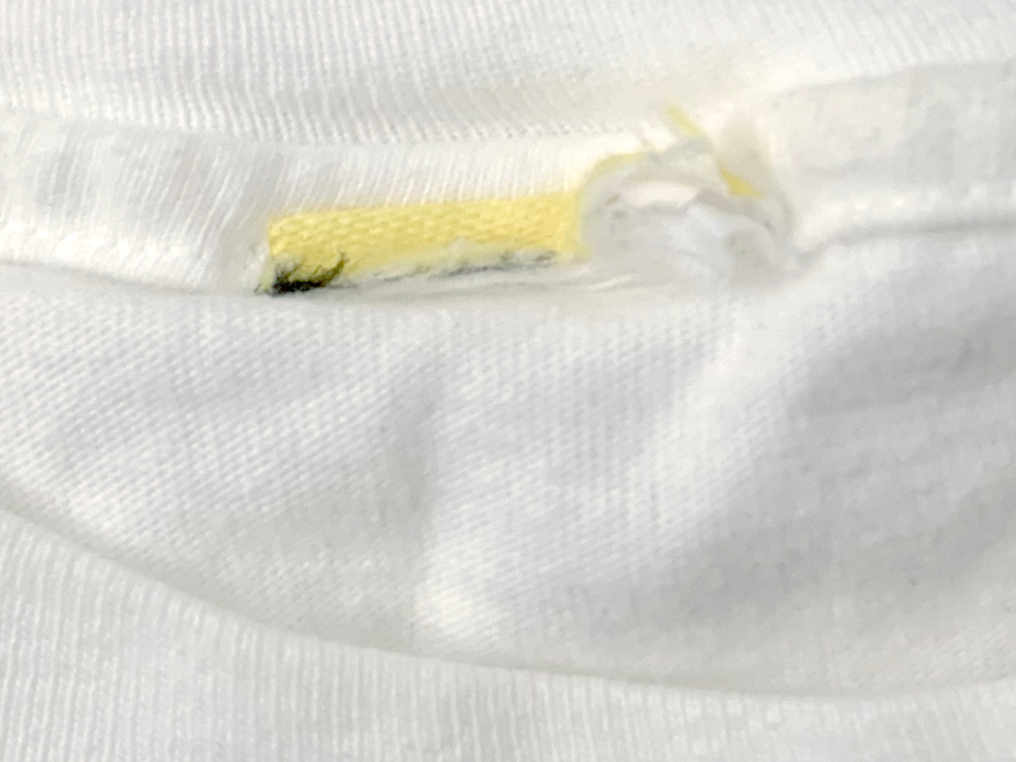 Seinfeld Big Dogs Seinfetch T-Shirt