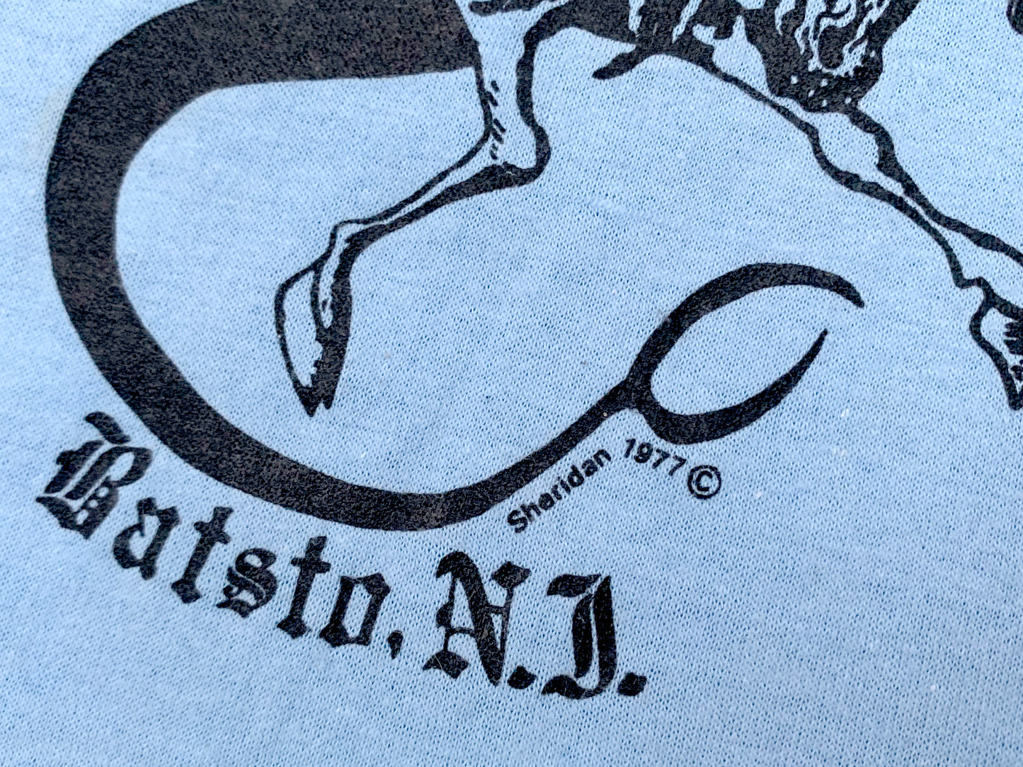 Jersey Devil Batsto NJ T-Shirt